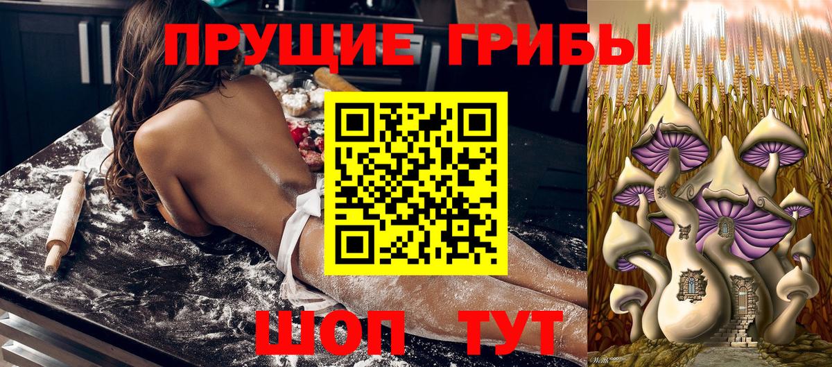 Псилоцибиновые грибы прущие грибы  Галлюциногенные грибы Psilocybe  Вход с VPN  Родники 
